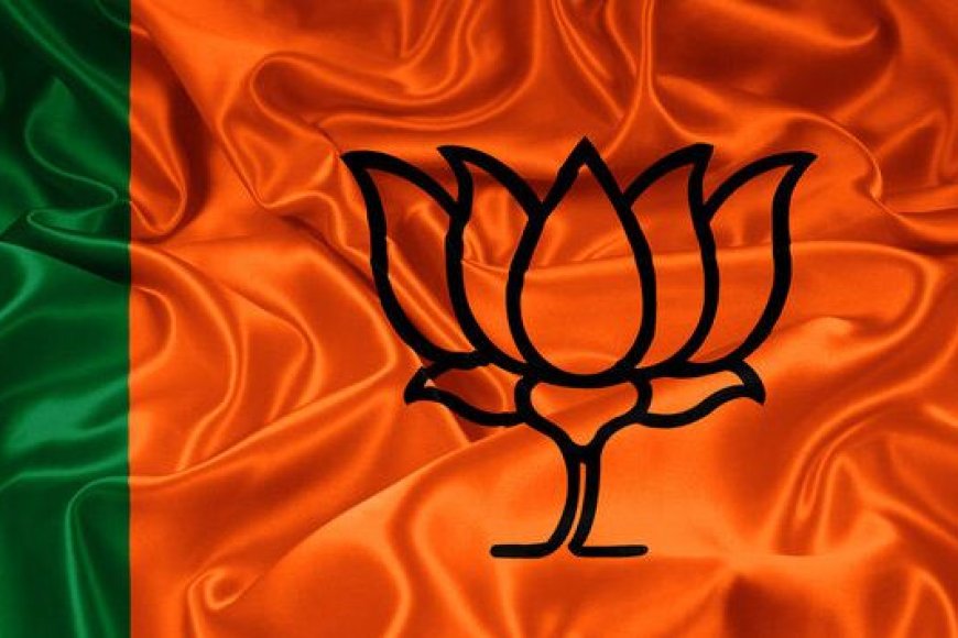 संविधान-गौरव-दिवस-में-भाजपा-की-होगी-हर-संभागीय-मुख्यालय-पर-रैली