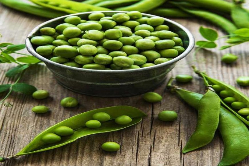 किसानों-को-बजट-से-उम्मीदें,-मटर-की-msp-तय-करने-की-मांग,-कहा&-दाम-तय-न-होने-से-झेल-रहे-नुकसान