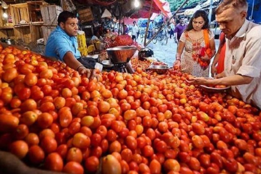 टमाटर-की-अच्छी-आवक,-अप्रैल-माह-तक-सस्ते-मिलेंगे