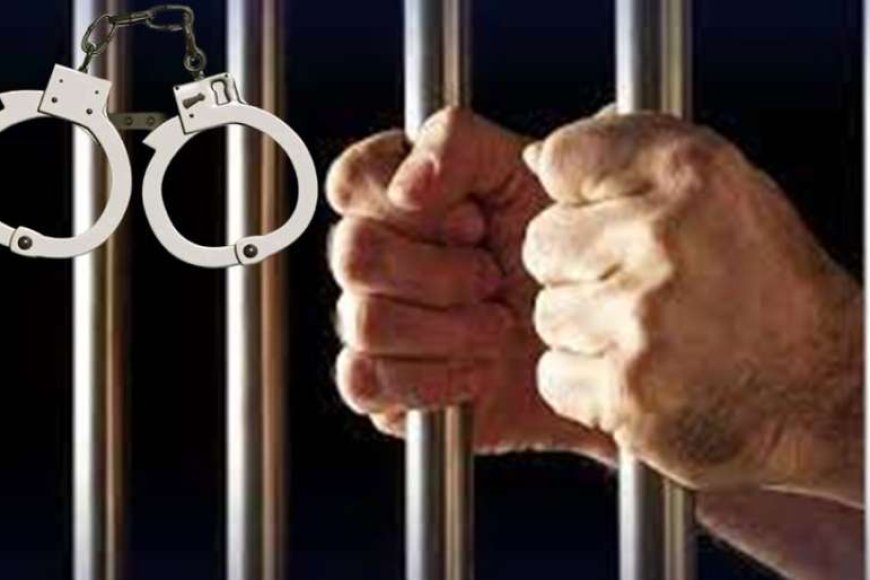 नशे-में-धुत्त-दो-भाइयों-ने-गांव-में-मचाया-आतंक,-गिरफ्तार