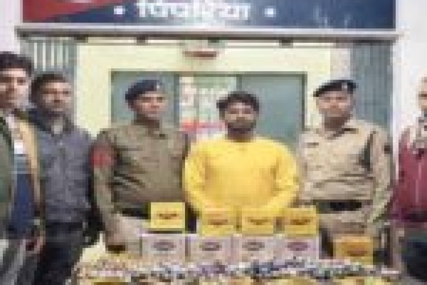 सौर-ऊर्जा-और-ऑटोमेशन-तकनीक-से-सिंचाई-प्रबंधन-में-क्रांति