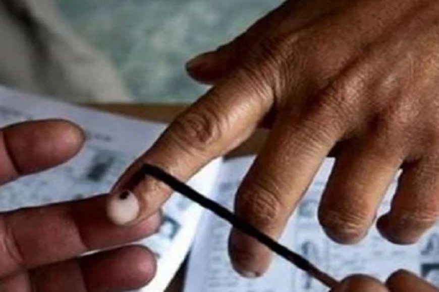 भारत-में-मतदाताओं-की-संख्या-99.1-करोड़-पहुंची,-पिछले-साल-से-बड़ा-उछाल
