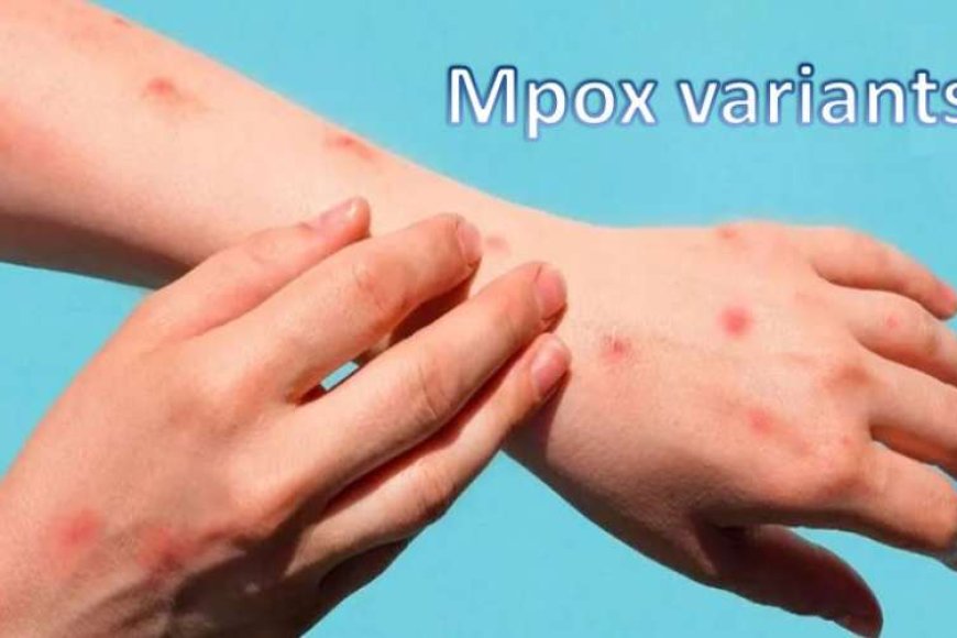 नए-mpox-वैरिएंट-ने-दी-दस्तक:-फ्रांस-में-पहला-केस,-स्वास्थ्य-अधिकारी-सतर्क