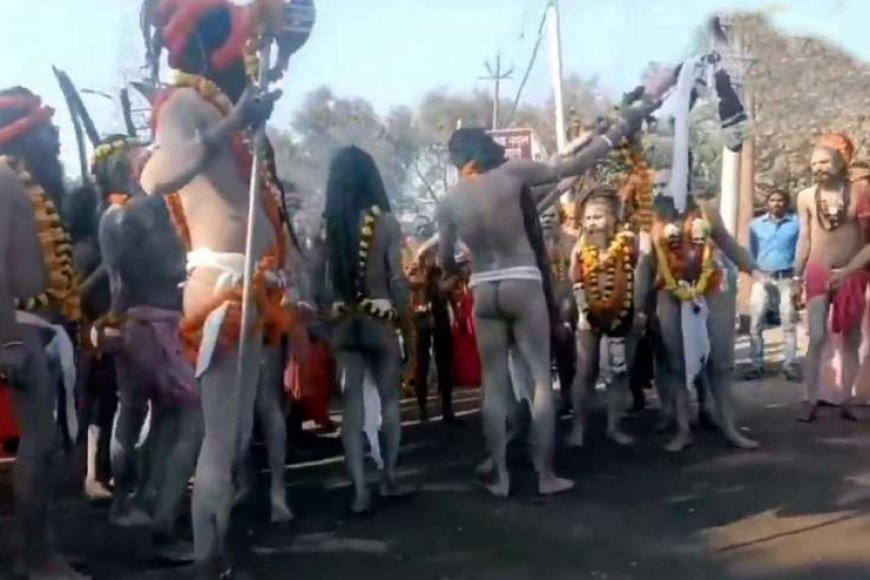 महाकुंभ-के-बाद-दिखाई-नहीं-देते-नागा-संत,-विलुप्त-होते-हैं-या-छिप-जाते-हैं?