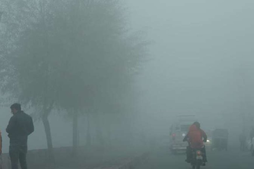 शीतलहर-और-कोहरे-के-बीच-बारिश-की-चेतावनी,-पंजाब-और-हरियाणा-होंगे-प्रभावित