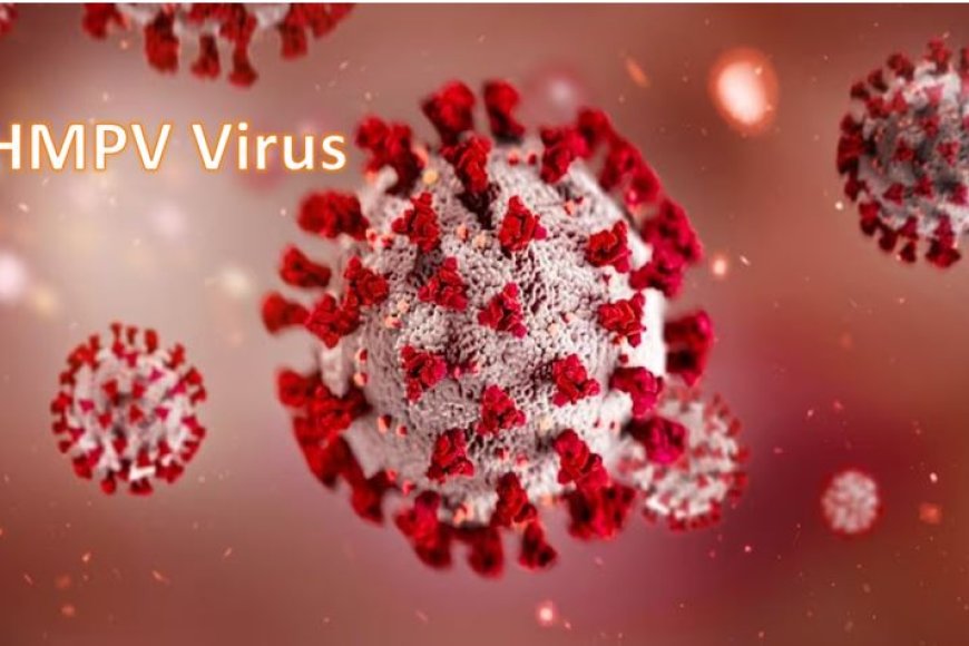 भारत-में-मिला-hmpv-वायरस-का-पहला-केस,-8-महीने-के-बच्चे-में-दिखे-लक्षण