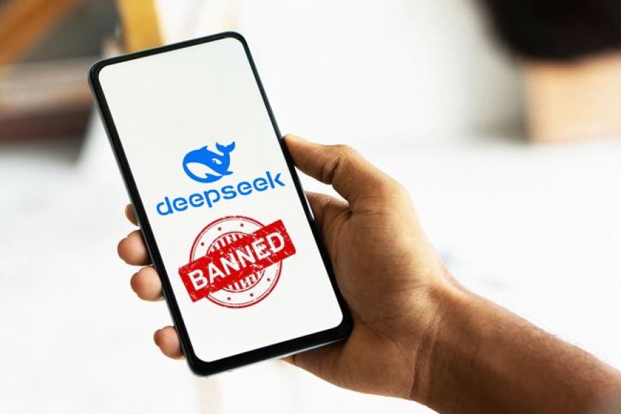 अमेरिका का साइबर सुरक्षा पर सख्त रुख, चीनी ऐप DeepSeek पर लगाया बैन