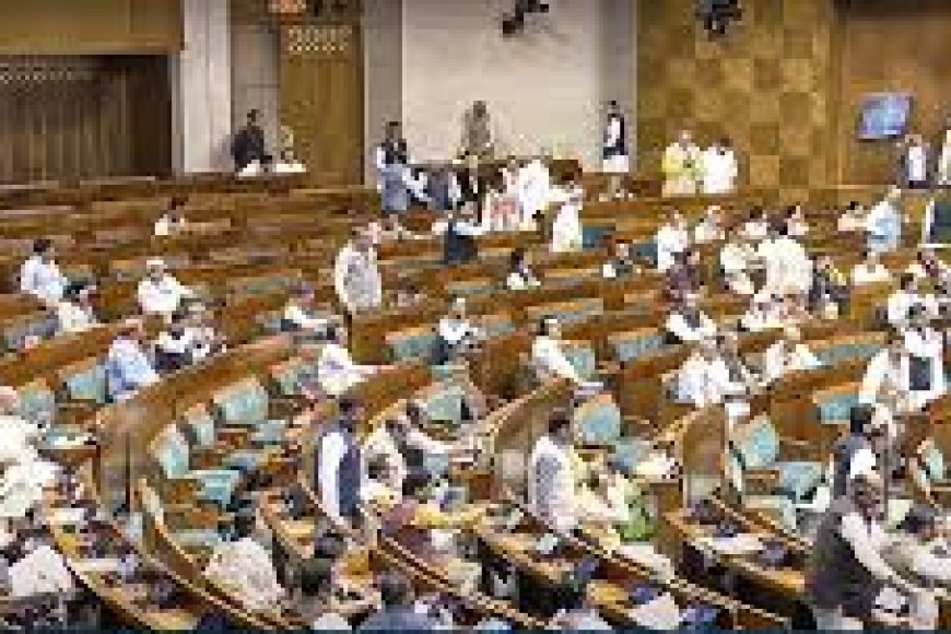भाजपा.-सरकार-संसद-के-बजट-सत्र-में-पेश-करेगी-नया-‘अवैध-अप्रवास’-कानून