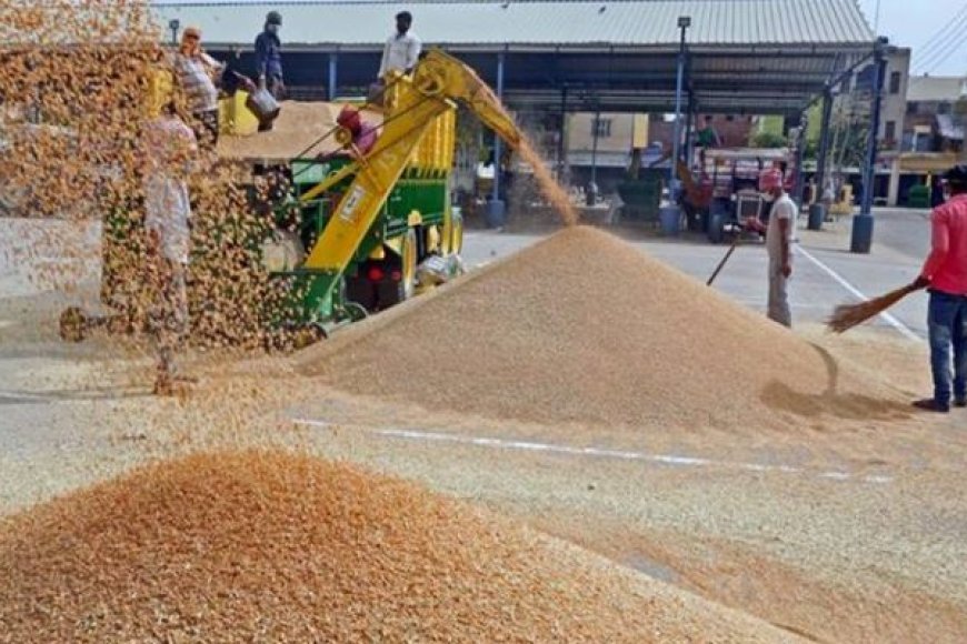 समर्थन-मूल्य-पर-गेहूँ-की-बिक्री-के-लिए-62-हजार-से-अधिक-किसानों-ने-कराया-पंजीयन