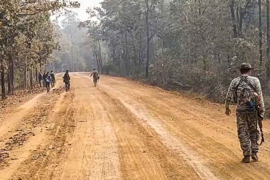 इंद्रावती नेशनल पार्क के जंगल में बुलाई थी बैठक, 100 KM पैदल चलकर जवानों ने ढेर किए 31 नक्सली