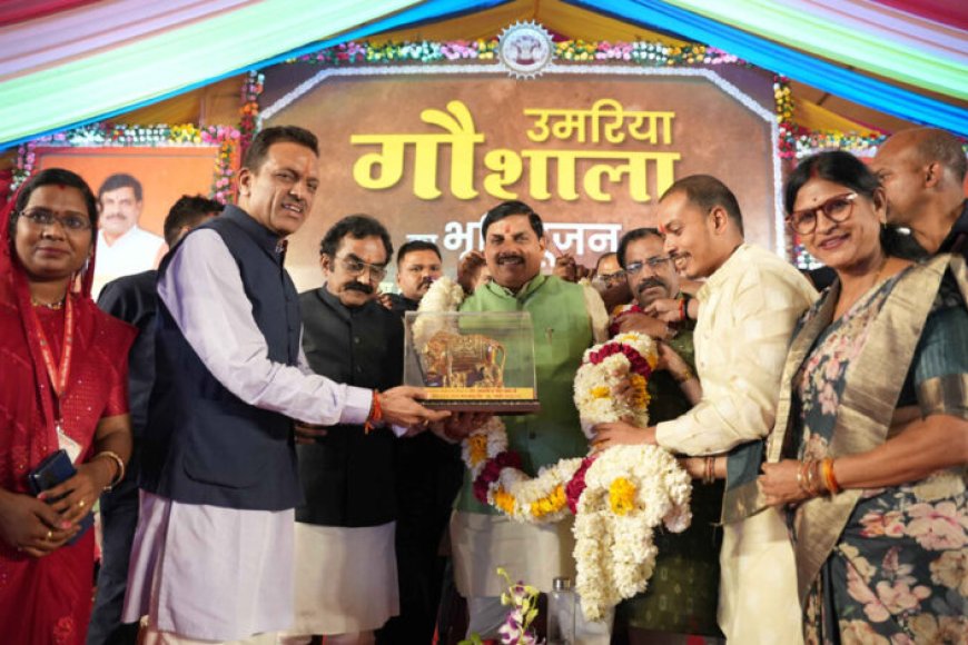 बेसहारा-एवं-निराश्रित-गौ&वंशों-की-देखभाल-की-जिम्‍मेदारी-राज्‍य-सरकार-की-:-मुख्‍यमंत्री-डॉ.-यादव