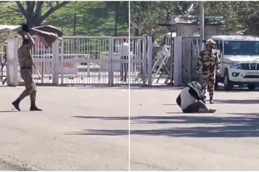 नीमच-में-मची-अफरा&तफरी,-अचानक-मधुमक्खियों-ने-भेड़-चरा-रहे-लोगों-पर-किया-हमला