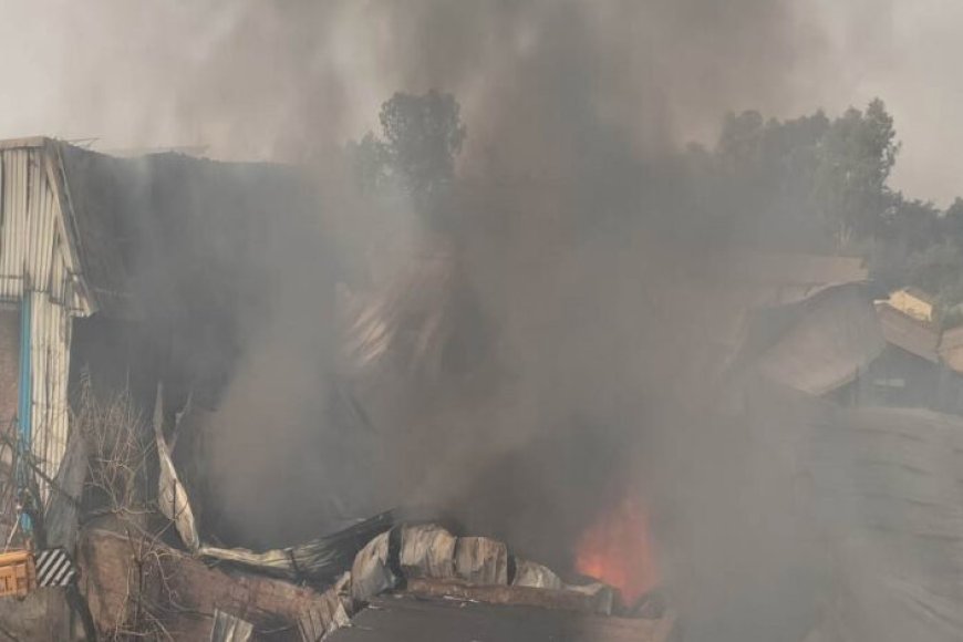 राजधानी-भोपाल-के-इंडस्ट्रीयल-एरिया-में-भीषण-आग,-एक-फैक्ट्री-और-कारों-के-शोरूम-जले