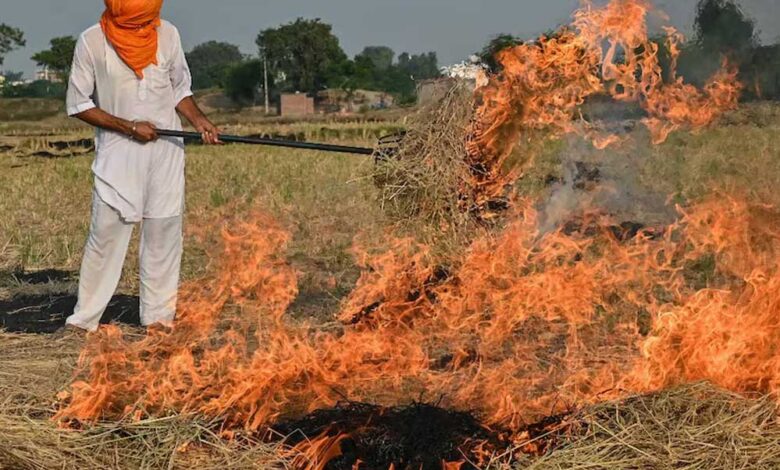 जिले-में-नरवाई-जलाने-पर-प्रशासन-सख्त,-बांधवगढ़-में-भी-तीन-पर-जुर्माना,-15-किसानों-पर-कार्रवाई-की-तैयारी