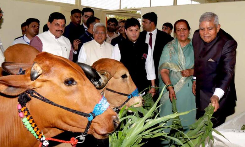 किसान-के-खेत-से-निकलता-है-विकसित-भारत-का-रास्ता-:-उप-राष्ट्रपति-श्री-धनखड़