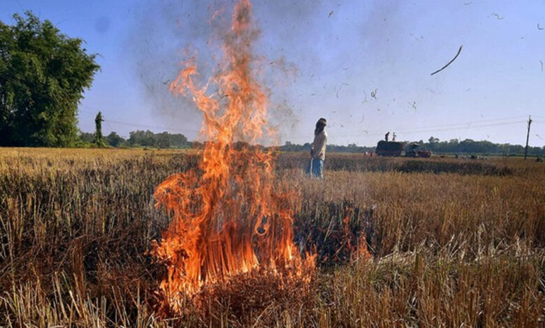 छतरपुर-में-नरवाई-की-आग-से-दो-गांवों-में-तीन-दर्जन-घर-जल-गए,-65-साल-की-महिला-की-मौत