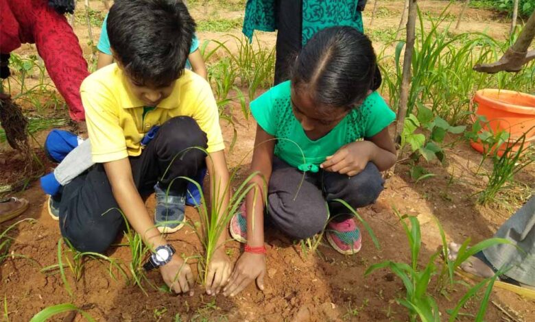 प्रदेश-में-15-हजार-ईको-क्लब-गठित,-प्रति-विद्यालय-पर्यावरण-की-दृष्टि-से-35-पौधों-का-रोपण