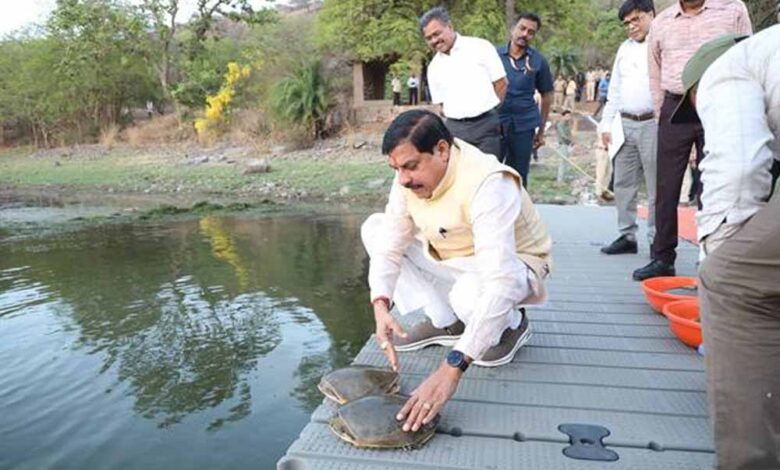 मुख्यमंत्री-डॉ.-यादव-ने-वन-विहार-राष्ट्रीय-उद्यान-के-जल-क्षेत्र-में-छोड़े-कछुए