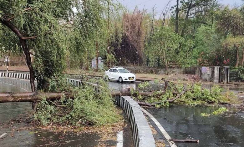नौतपा-से-पहले-मध्यप्रदेश-में-आंधी-बारिश-वाला-मौसम,-ग्वालियर-चंबल-में-आज-लू-चलेगी