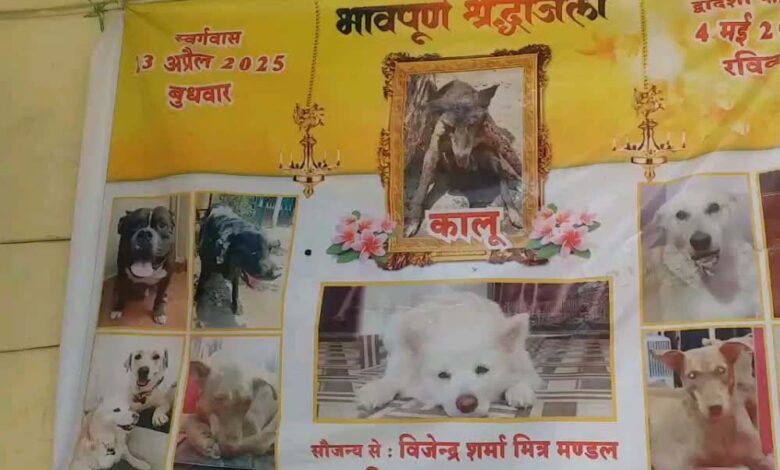 इंदौर-में-अब-जानवरों-का-भी-होगा-अंतिम-संस्कार,-नगर-निगम-ने-हरियाणा-की-कंपनी-से-कॉन्ट्रेक्ट-साइन-किया