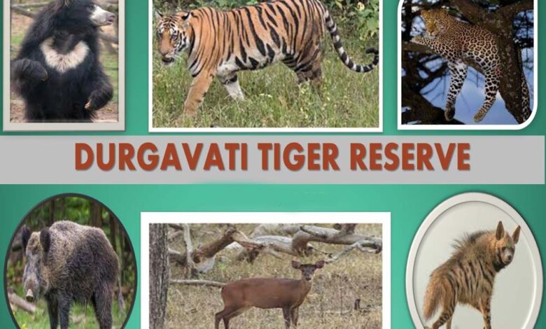 दमोह जिले की रेंज के 22 कर्मचारी वीरांगना दुर्गावती टाइगर रिजर्व से अटैच, अलग से बनाई जा रहीं तीन रेंज