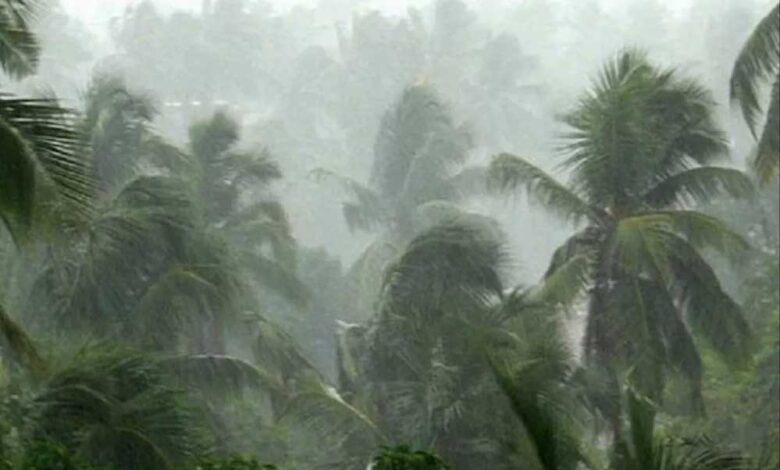 ग्वालियर-चंबल-में-60km/घंटा-रहेगी-आंधी-की-रफ्तार,-भोपाल,-इंदौर-जबलपुर-में-बारिश-का-अलर्ट