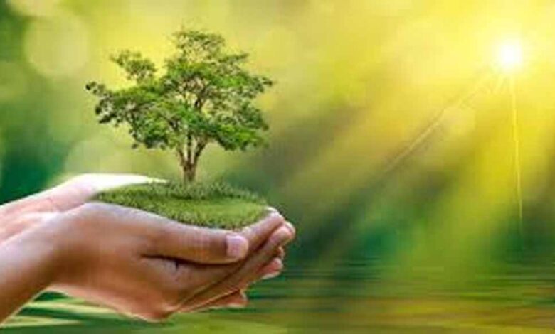 विश्व-पर्यावरण-दिवस-पर-प्रदेशभर-में-होंगे-विशेष-आयोजन