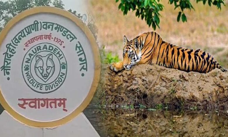 दमोह वनमंडल का बड़ा हिस्सा वीरांगना दुर्गावती टाइगर रिजर्व में शामिल हुआ