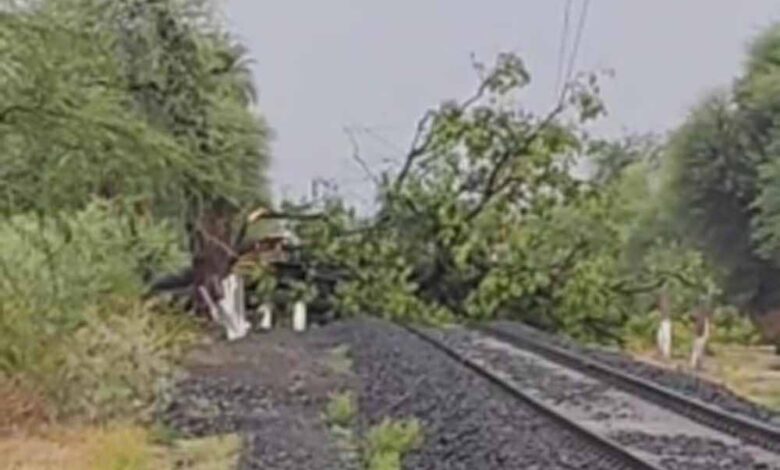 उज्जैन-जिले-में-तेज-आंधी-और-तूफान-ने-लगातार-दूसरे-दिन-ट्रेन-संचालन-को-रोक-दिया,-पटरियों-पर-गिरा-पेड़