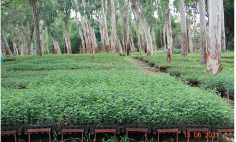 जल-गंगा-संवर्धन-अभियान-में-वन-विभाग-की-प्रभावी-पहल