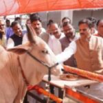 एक-भी-गौमाता-बेसहारा-न-रहे-:-उप-मुख्यमंत्री-शुक्ल