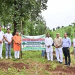 वन-परिक्षेत्र-बैढ़न-में-सांसद-विधायक-ने-एक-पेड़-मॉ-के-नाम-अभियान-के-तहत-किया-पौधा-रोपण
