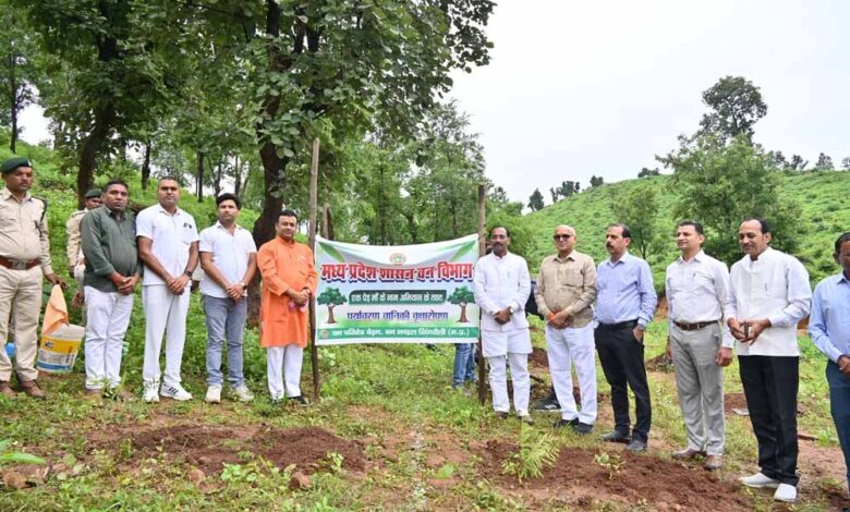 वन परिक्षेत्र बैढ़न में सांसद विधायक ने एक पेड़ मॉ के नाम अभियान के तहत किया पौधा रोपण