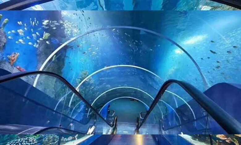 भोपाल में बन रहा 40 करोड़ का एक्वा पार्क, 3D इंटरेक्टिव जोन और वॉटर टनल से होगा रोमांच