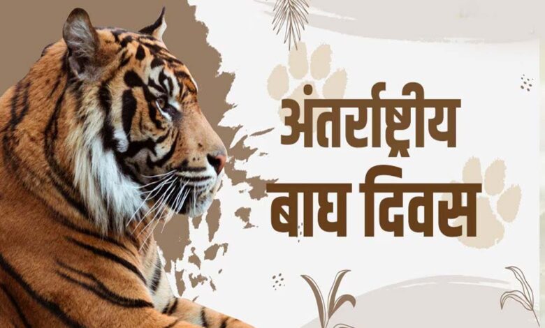 मुख्यमंत्री डॉ. यादव मंगलवार को अंतर्राष्ट्रीय बाघ दिवस पर राज्य स्तरीय कार्यक्रम में होंगे शामिल