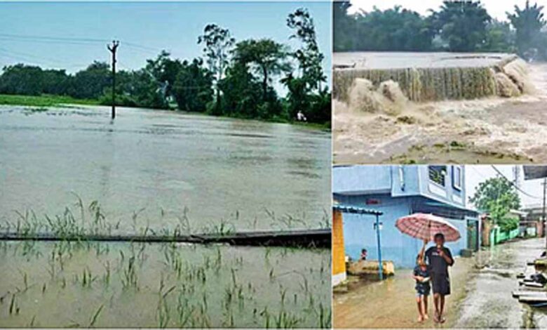 मध्य प्रदेश के कई जिलों में भारी बारिश का अलर्ट, जनजीवन अस्त-व्यस्त