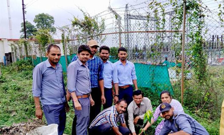 औषधि-वाटिका-विकास-के-लिए-एमपी.-ट्रांसको-में-पौधारोपण