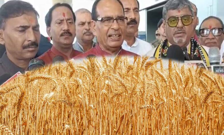 शिवराज-का-बयान:-जलवायु-परिवर्तन-और-बढ़ते-तापमान-से-देश-में-घट-सकता-है-गेहूं-उत्पादन