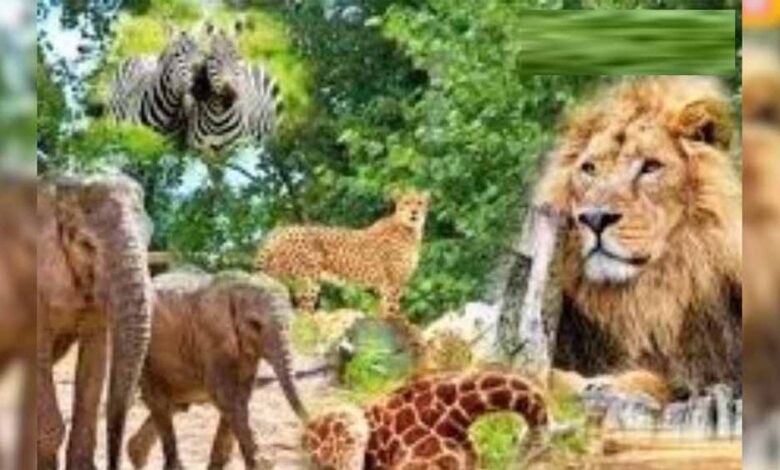 मुख्यमंत्री-डॉ.-यादव-की-उपस्थिति-में-वन्यजीवों-के-पुर्नवास-के-लिए-हुआ-एमओयू