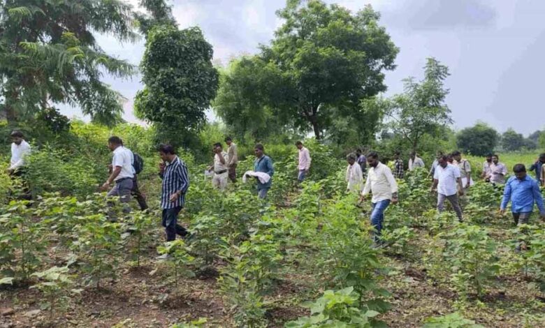 mp-में-जुड़वां-नवजातों-की-मौत:-15-दिन-बाद-कब्र-से-निकाला-गया-बच्चे-का-शव,-पोस्टमार्टम-से-खुलेंगे-राज