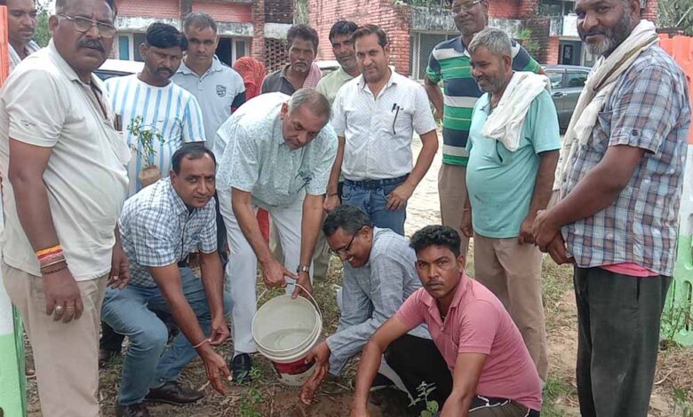 नगरीय-निकायों-में-शुरू-हुआ-सेवा-पखवाड़ा