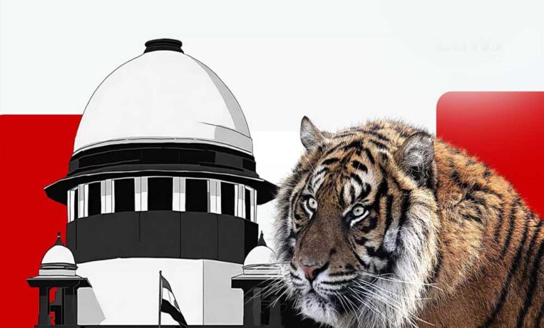 टाइगर-शिकार-पर-सुप्रीम-कोर्ट-सख्त!-mp-महाराष्ट्र-से-4-हफ्ते-में-जवाब-तलब,-लगे-संगठित-शिकार-के-आरोप