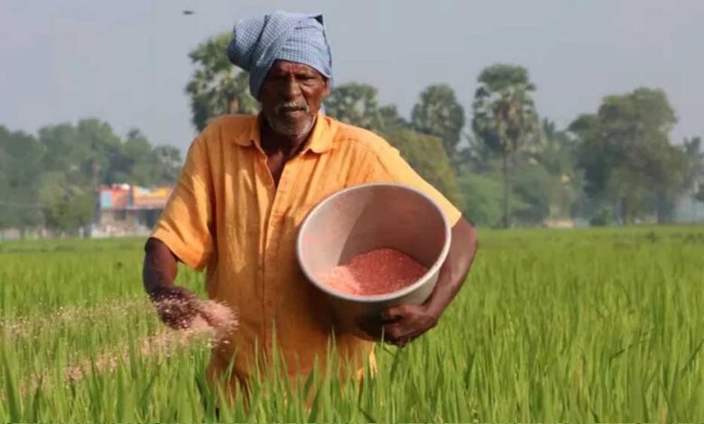 mp-में-खेती-का-रकबा-घटा,-लेकिन-रासायनिक-खाद-की-खपत-पहुंची-रिकॉर्ड-स्तर-पर