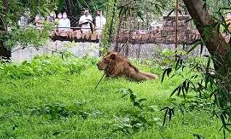 एक-से-सात-अक्टूबर-तक-मनेगा-वन्य-प्राणी-सप्ताह