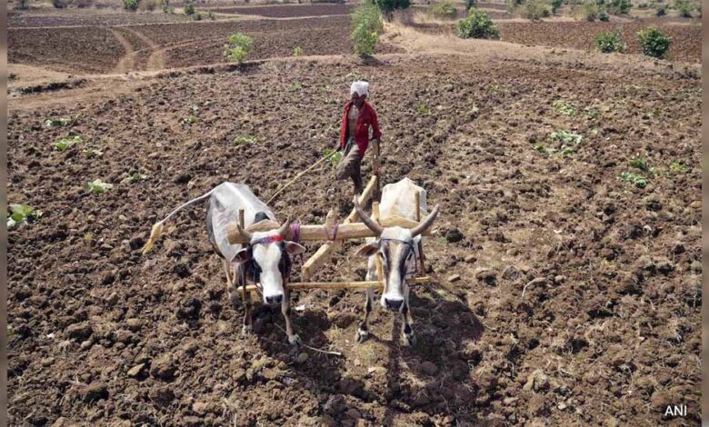 मध्य-प्रदेश-में-14-लाख-मृदा-स्वास्थ्य-कार्ड,-फिर-भी-किसानों-की-खाद-खपत-कम-नहीं-हुई!