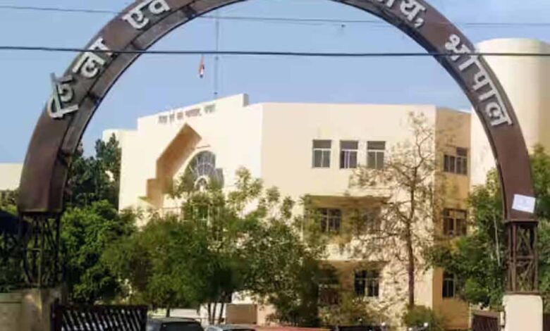 घर-में-पालतू-की-लड़ाई-ने-बढ़ाया-तलाक-का-तनाव,-पति-ने-कहा-अब-और-नहीं-सहूंगा