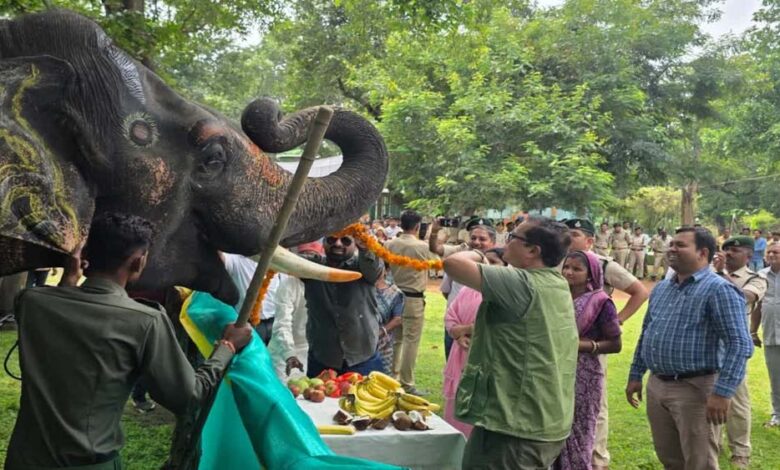 मध्यप्रदेश-में-सात-दिवसीय-हाथी-महोत्सव-का-शुभारंभ