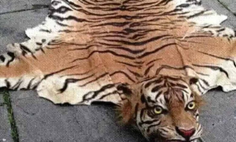 अंतर्राष्ट्रीय-बाघ-तस्कर-ढरके-लामा-के-विरूद्ध-इंटरपोल-मुख्यालय-फ्रांस-द्वारा-रेड-कार्नर-नोटिस-जारी