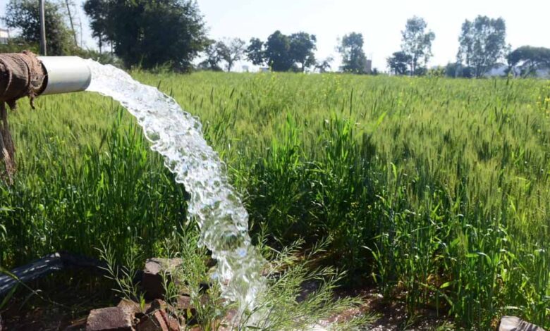 रबी-सीजन-में-निर्बाध-एवं-गुणवत्तापूर्ण-विद्युत-आपूर्ति-की-व्यवस्था