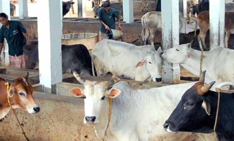 मध्य-प्रदेश-में-एक-लाख-परिवारों-तक-पहुंचेगा-‘मैत्री’,-जानें-पशुपालन-कैसे-बन-सकता-है-आय-का-जरिया